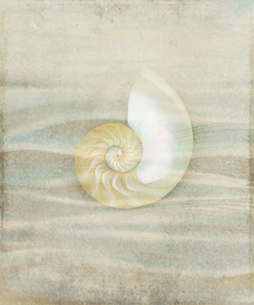 Framed Gypsy Star 2 Print