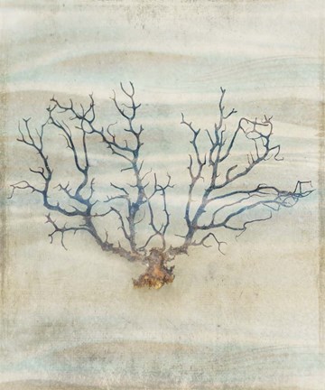 Framed Gypsy Star 5 Print