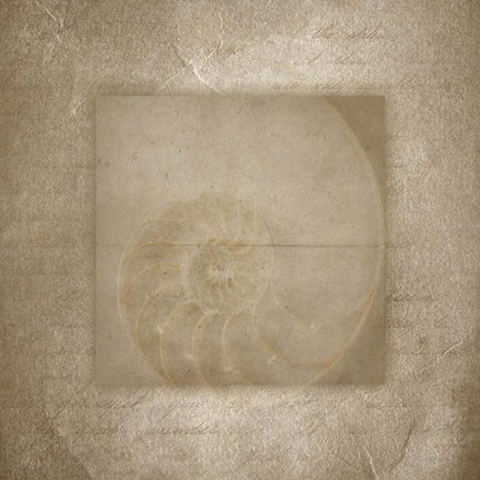 Framed Sea Life 2 Print