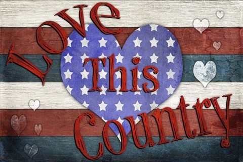 Framed American Freedom Collection 2 Print