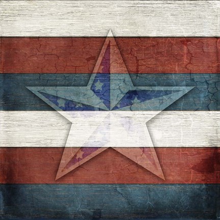 Framed American Freedom Collection V4 Print