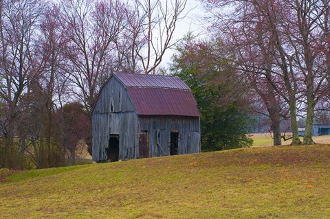 Framed Abandon Barn Print
