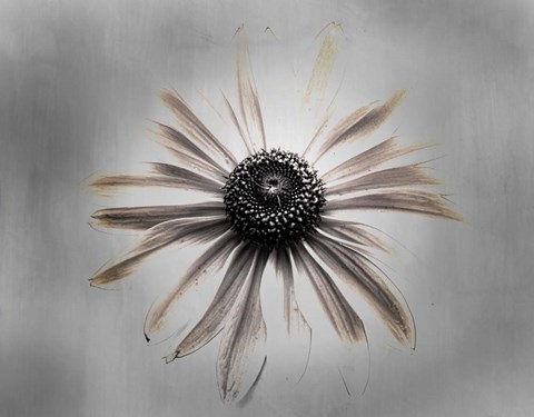 Framed Sun 1 Copy Print