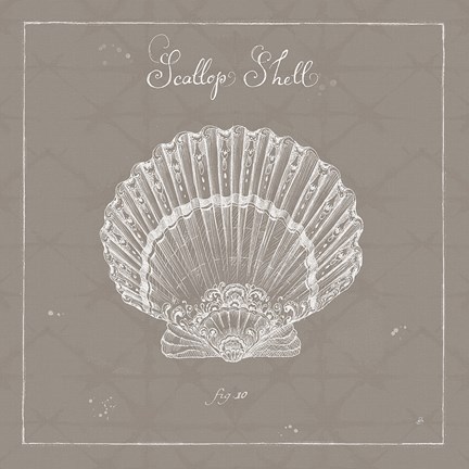 Framed Underwater Life XV Greige Print