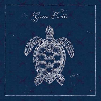 Framed Underwater Life XVI Print