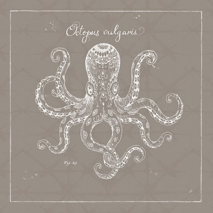 Framed Underwater Life XI Greige Print