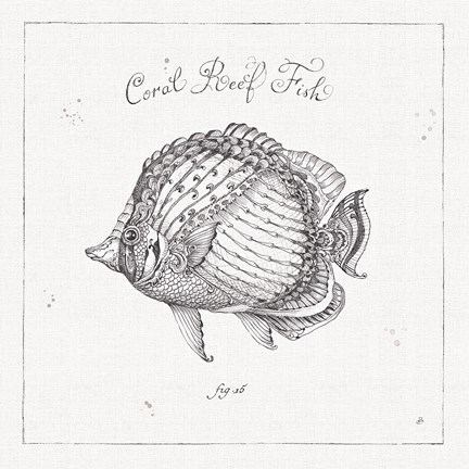 Framed Underwater Life VI Print