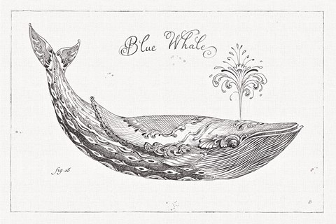 Framed Underwater Life I Print