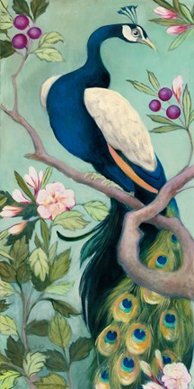 Framed Pretty Peacock I Print