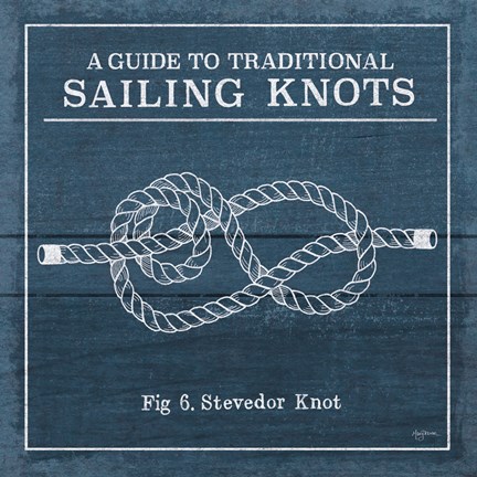Framed Vintage Sailing Knots VI Print