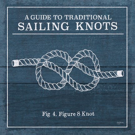 Framed Vintage Sailing Knots IV Print