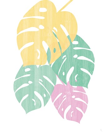 Framed Monstera III Bright on White Print