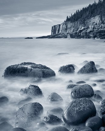 Framed Acadia Coast Crop Print