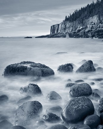 Framed Acadia Coast Crop Print