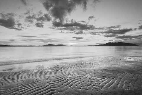 Framed Samish Bay Sunset II BW Print
