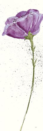 Framed Mint Poppies II in Purple Crop Print