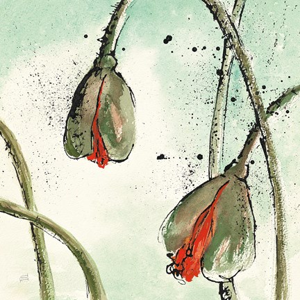 Framed Not a California Poppy II Print