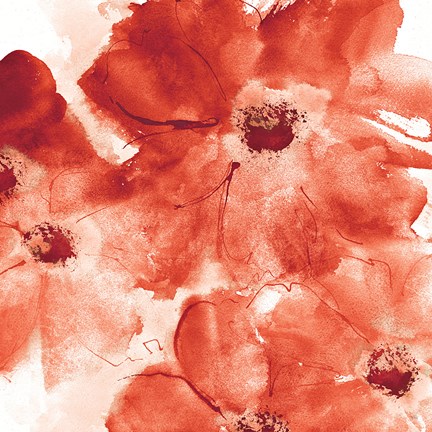 Framed Seashell Cosmos I Red and Orange Print