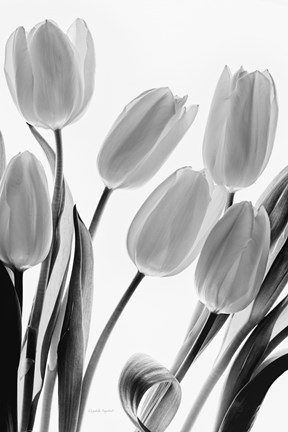 Framed Shadows and Light I Print