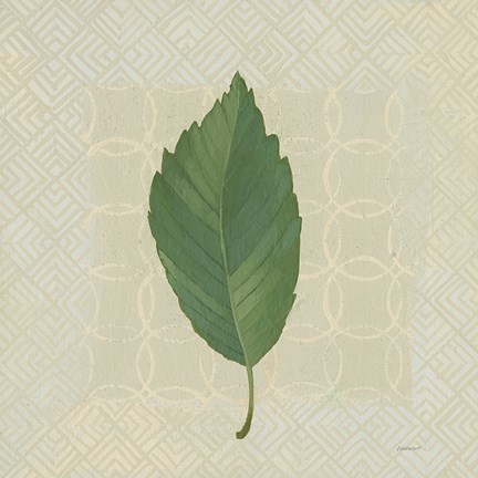 Framed Forest Leaves III no Lines Print