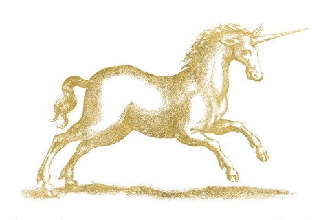 Framed Unicorn Fantasy Print