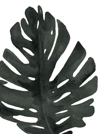 Framed Tropical Palm I BW Print