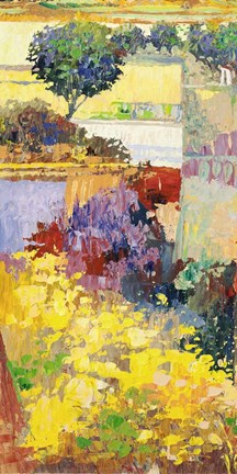 Framed Colore dei Campi II Print