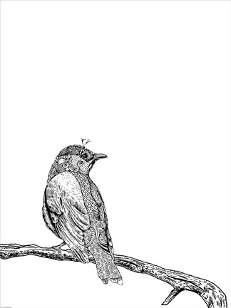 Framed Bird III Print
