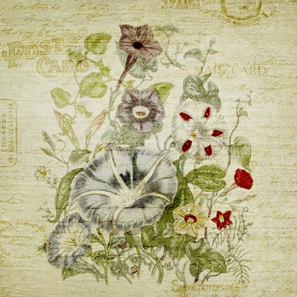 Framed Flower Print Five Print