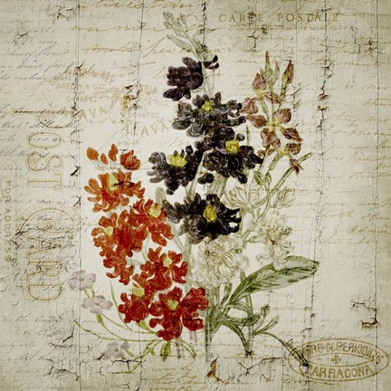 Framed Flower Print Grunge Three Print