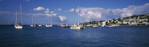 Framed Boats at a Harbor, Martinique, West Indies Print