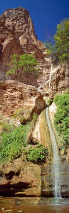 Framed Waterfall, Paradise Canyon, Grand Canyon National Park, Arizona Print