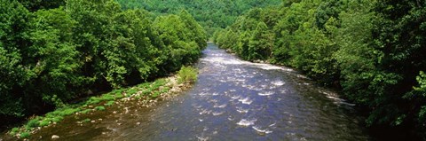 Framed River Passing through a Forest, Pigeon River, Cherokee National Forest, Tennessee Print