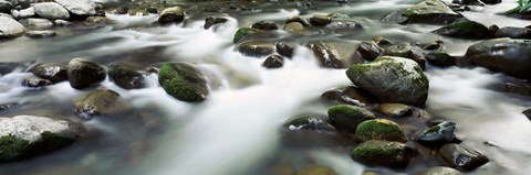 Framed Rocks in Little Pigeon River, Great Smoky Mountains National Park, Tennessee Print