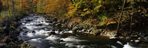 Framed River Flowing through a Forest, Chittenango Creek, New York State Print