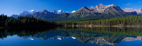 Framed Reflection of Mountains in Herbert Lake, Banff National Park, Alberta, Canada Print