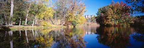 Framed Reflection of Trees in a lake, Biltmore Estate, Asheville, North Carolina Print