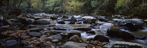 Framed Rocks in a River, Great Smoky Mountains National Park, Tennessee Print