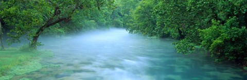 Framed Creek flowing through a Forest, Ozark National Scenic Riverways, Ozark Mountains, Missouri Print