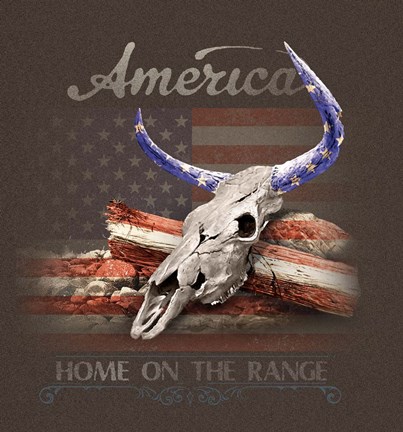 Framed America Print