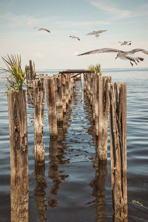 Framed Quite Abandoned Print