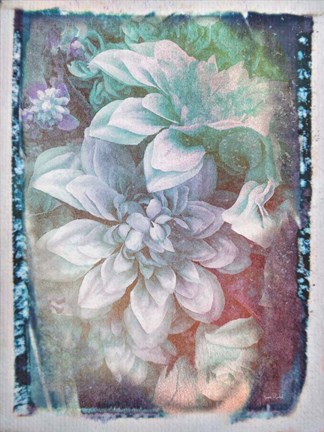 Framed Midnight Mystery Print