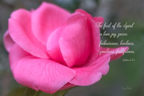 Framed Fruit of the Spirit Print