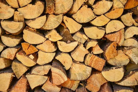 Framed Wood Pile I Print