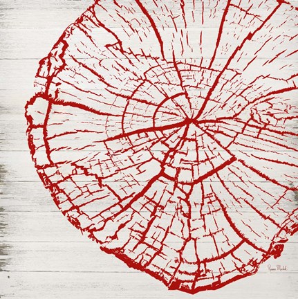 Framed Tree Rings II Print