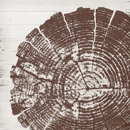 Framed Tree Rings III Print