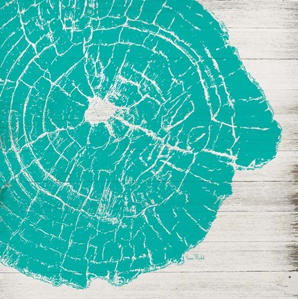 Framed Tree Rings IV Print