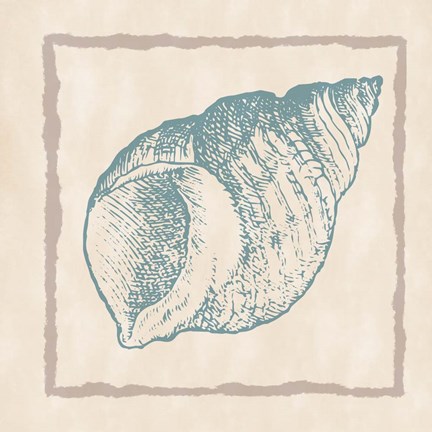 Framed Shell I Print
