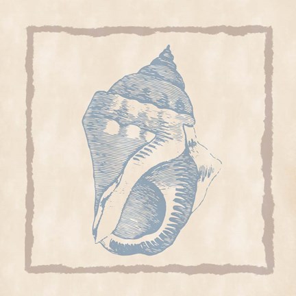 Framed Shell II Print