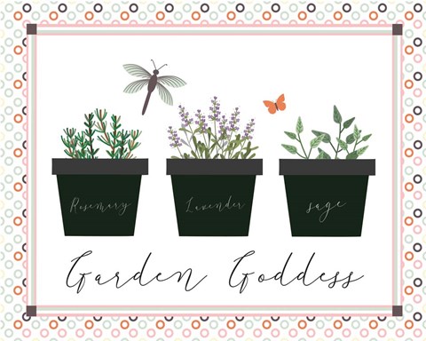 Framed Garden II Print